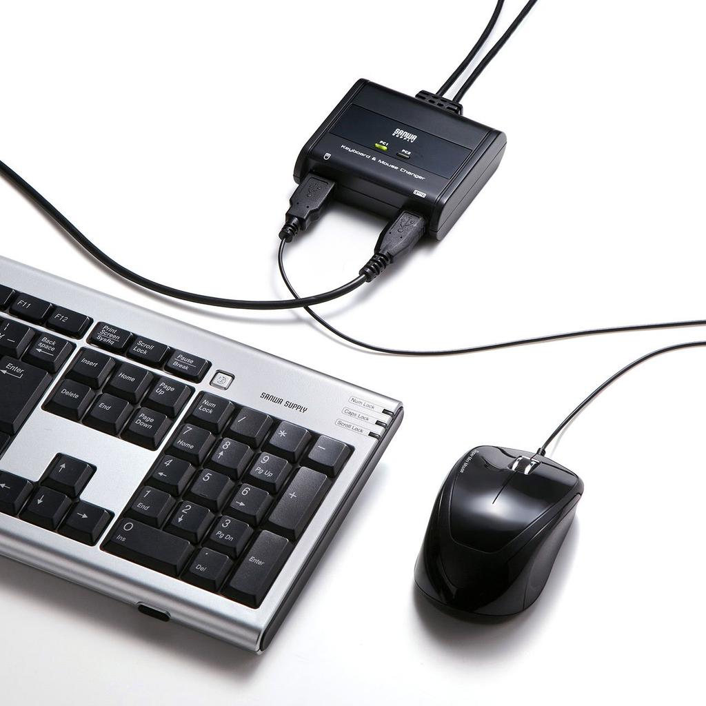 Sanwa Supply SW-KM2UU Keyboard and Mouse Switch (2:1)