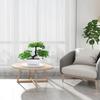 Artificial Bonsai Plastic Bionic Plant Indoor Small Simulation Plant Decoration Garden Desk Home Office Bathroom Room Decoration