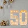 Number Light 3D Number Lamp Numbers Illuminated Numbers Decoration Numbers Night Light Lamp 30 for Wedding, Birthday