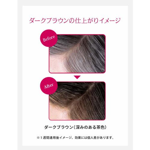 PRIOR  Shiseido PRIOR Color Conditioner N Dark Brown 230g Color Rinse