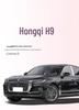 Hongqi H9 Trunk Mat: Custom Interior Car Decoration & Accessories