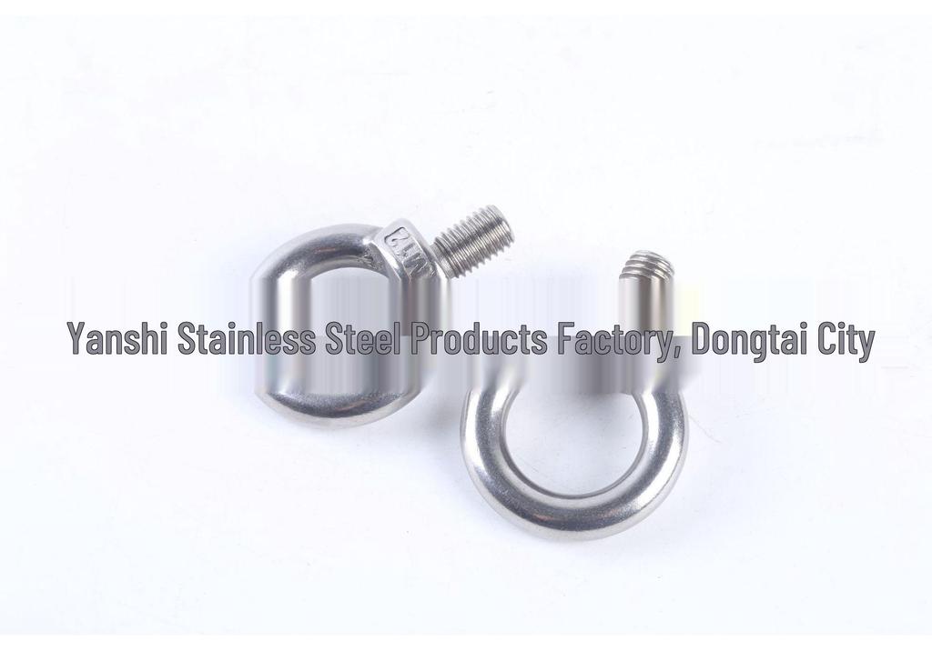 304 Stainless Steel O-Type Lifting Eye Bolt (M4-M36)