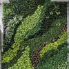 60*40cm Artificial Plant Wall Panel Flower DIY Artificial Eucalyptus Carpet Durable UV Protection Artificial Fern Grass