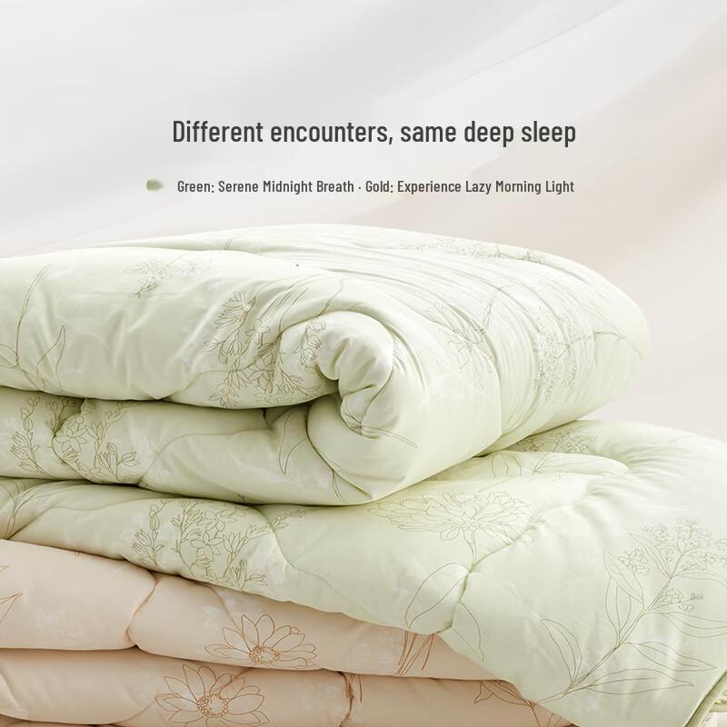 LUOLAI Class A Washable Cotton Winter Quilt