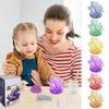 Easy To Grow Crystal Growing Science Kit Colored Crystals Crystal Making Kit Kids