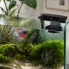 Peixes e animais aquáticos – Filtros e bombas para aquários