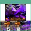Halloween Spider String Lights Purple Color Bright And Long-lasting Indoor/outdoor Decorative Lighting