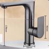 TLXT Stainless Steel Hot & Cold Basin Faucet