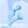 TLXT Yoga Fitness Dumbbells