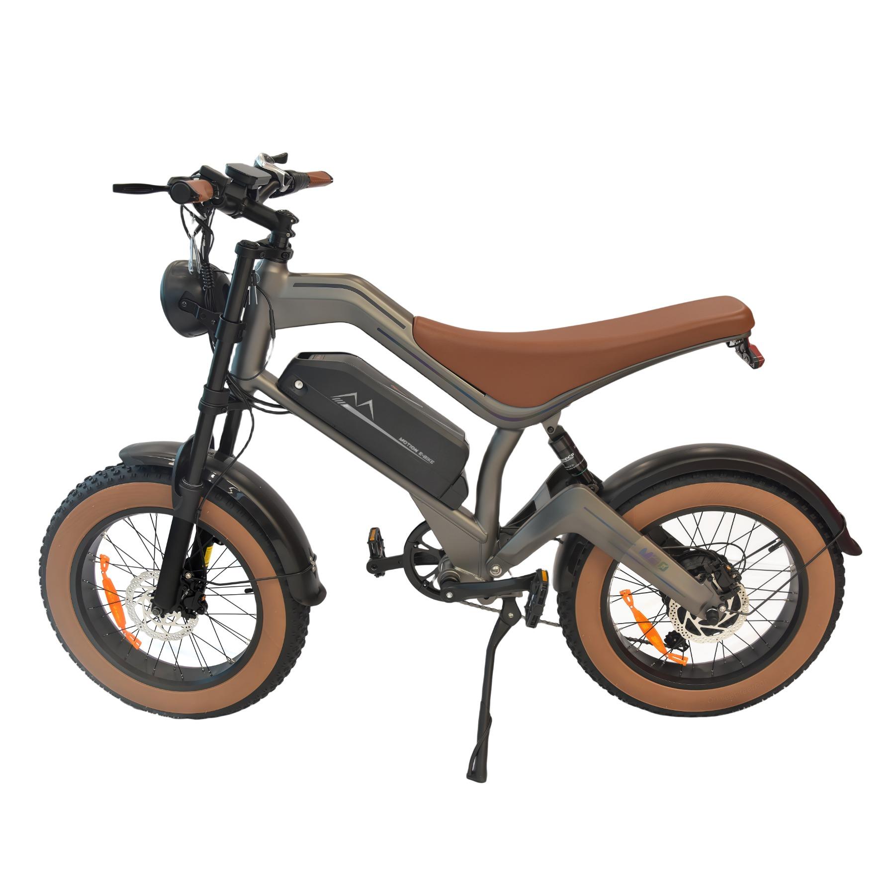 M20 Adult Electric Bike 1000W Motor