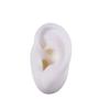 5D Silicone Simulated Artificial Ear Model Ear Stud Piercing Piercing Piercing Teaching Hearing Aid Acupuncture Practice Prop