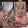 Telefon kapları – Smartphone Bumper Kılıflar