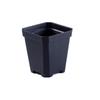 Thick Black Square Succulent Pot – Durable Plastic for Seedlings & Cuttings