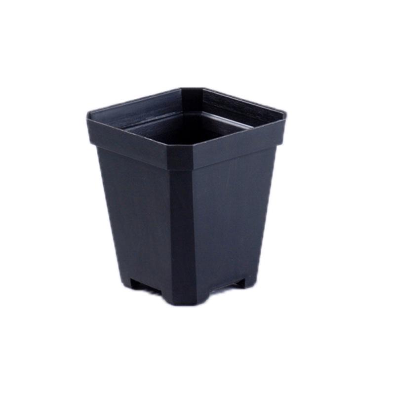 Thick Black Square Succulent Pot – Durable Plastic for Seedlings & Cuttings