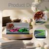 1/64 Diecast Car Display Case/Storage Case with Art Glass And Tree, Dustproof, Parking Lot Scene