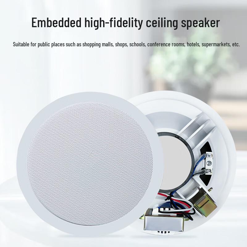 Weishu WS15-6 Fixed-Pressure Ceiling Speaker (CN version)