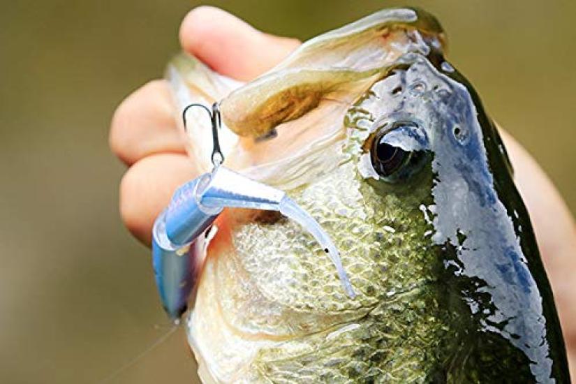 SHIMANO Bantam Bt Bait 99SS Kyoringill 013 Freshwater Lure Plug for and Rivers (SHIMANO) ZR-599T Bass, Lakes, Dams, Ponds,