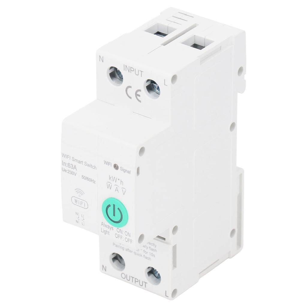 AC230V Circuit Breaker Din Rail WIFI Leakage Protection 2P 63A Cell Phone Remote Control Switch for 