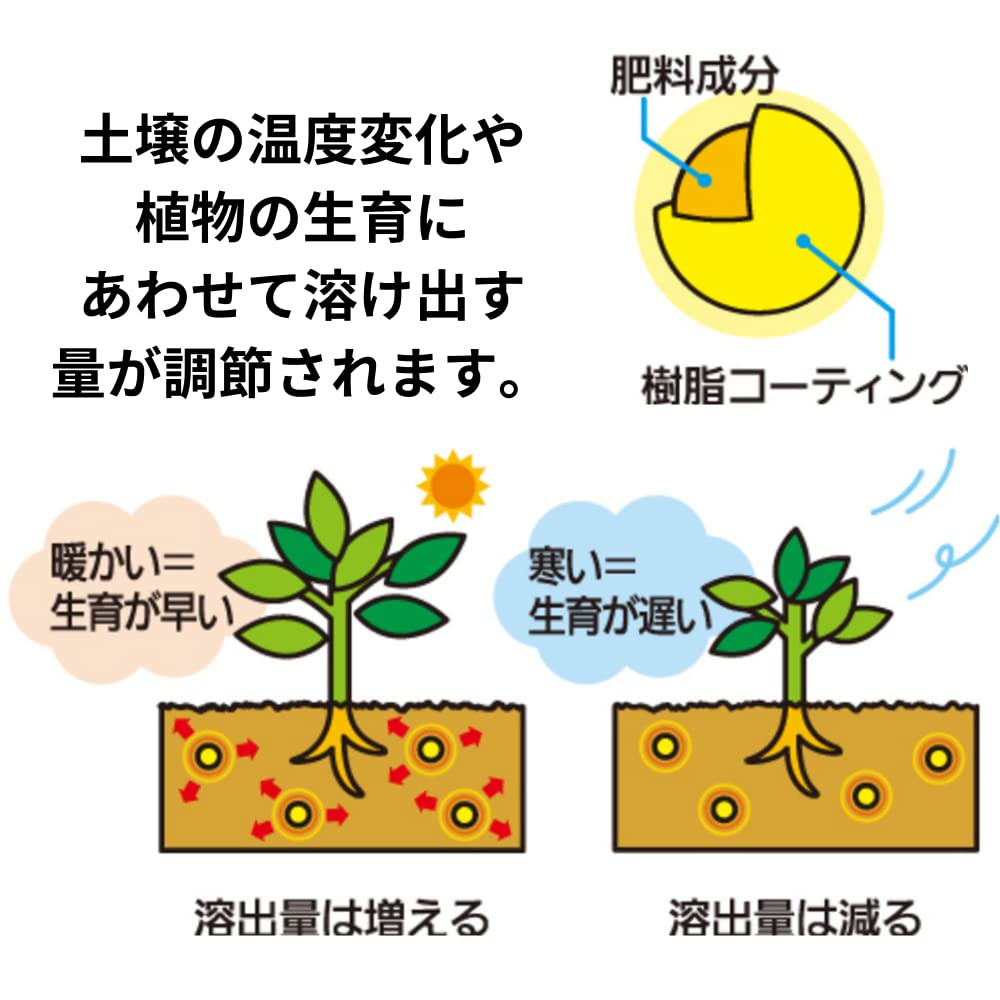 Sumitomo Chemical Gardening Fertilizer My Garden Vegeful 1.2kg Granular Vegetables Fruits Fruits