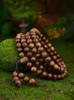 Exquisite Hainan Agarwood Bracelet: Unisex 10mm Single Loop with 19 Fragrant Round Beads (Limit One Per Customer)