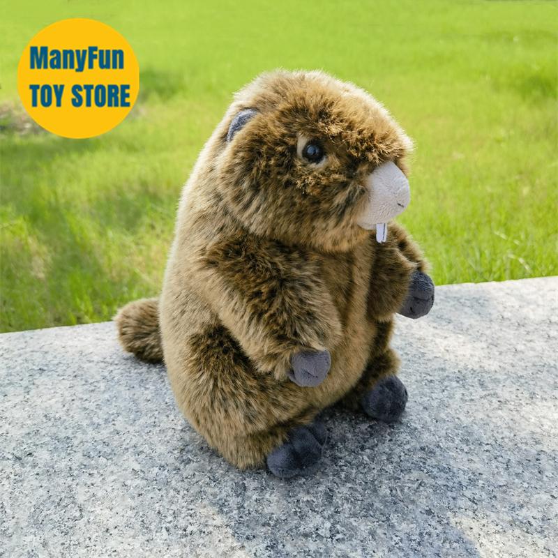 Groundhog Plush Toy, Lifelike Marmot Stuffed Animal, Realistic Land Beaver Plushie, Grassland Chuck Simulation Doll Gift
