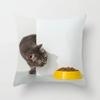 Home Decor Witchcraft Cat Stealing  Cushion Cover Cute  Sofa Car Decoration 45x45cm Pillowcase Square Polyester