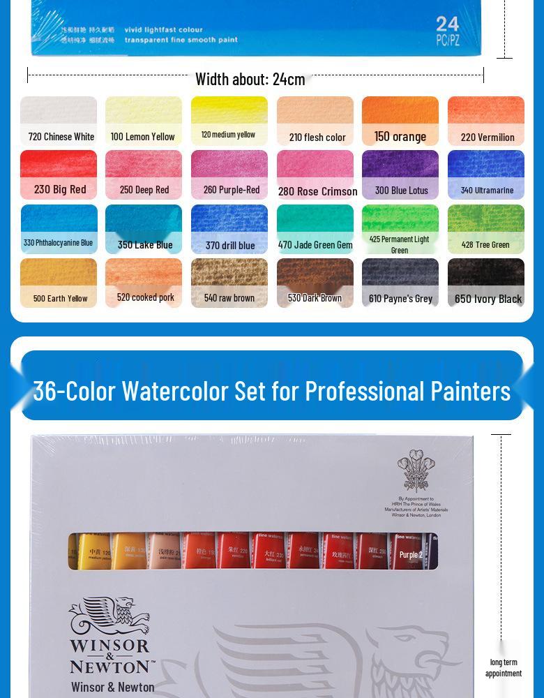 Winsor & Newton Professional Watercolor Set for Artists & Beginners