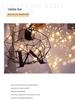 LED Waterproof Crackle Ball String Lights with Remote Control - Decorative Fairy Lights
