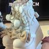 Winter Fashion Women's Snow Boots Platform Sweet Hairball Cotton Boots Warm Anti-chill Women's High Top Boots Botas Para Mujer