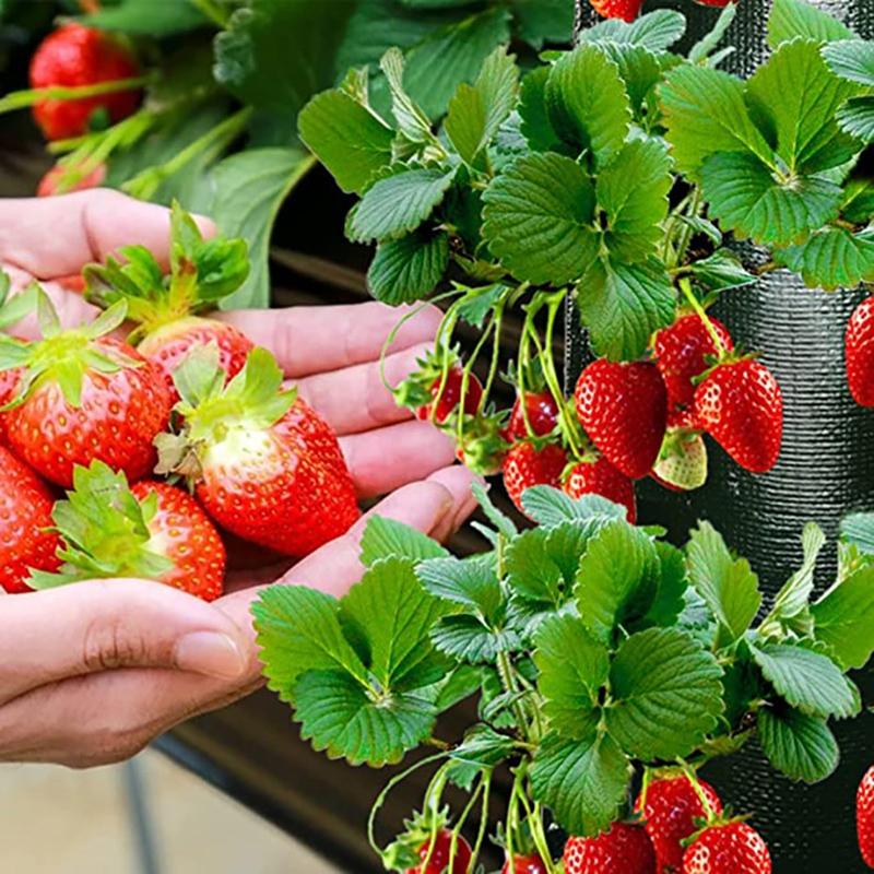 Hanging Strawberry Grow Bag Planter With Planting Holes Heavy Duty Durable Vertical Hanging Planter For Vegetable Tomato Potato