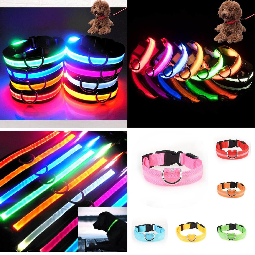 Brightly Colored Led Dog Collar Rechargeable Light-up Neckband For All Size Dogs