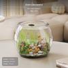 2Piece Turtle enclosure, PET Fish Desktop amphibian Habitat, High Transparency Jumbo