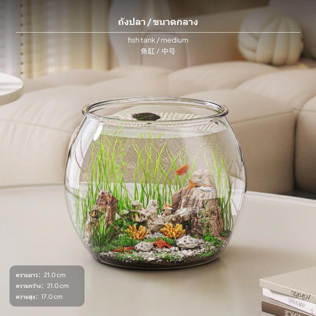 2Piece Turtle enclosure, PET Fish Desktop amphibian Habitat, High Transparency Jumbo