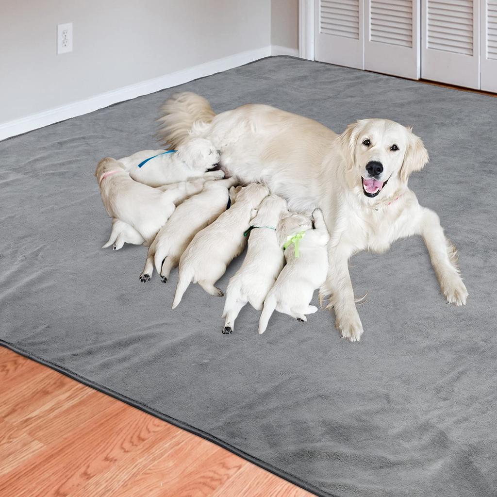 LOOBANI Washable Pet Pet Pet Wee Pet Toilet Underlay Quick Nursing Super Reusable Waterproof Mat To Help Dogs with Urinary Ideal for Multiple Pets