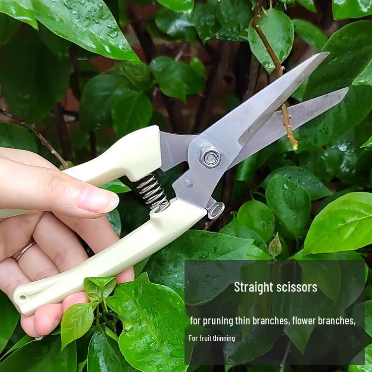 Garden Floral Art Pruning Shears - Branch and Flower Pruners for Horticulture
