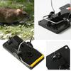 Mouse Trap Kit Pied Trap High Quality Easy Safe Platoon
