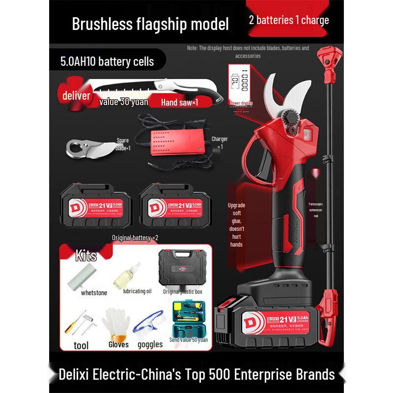 WBT Delixi Cordless Electric Pruning Shears CN plug (adapter included)