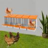 5-Compartment Chicken Nesting Box, Laying Hen Nest for Egg Collection, Durable PP Material,Farm & Coop Use, Poultry Supplies