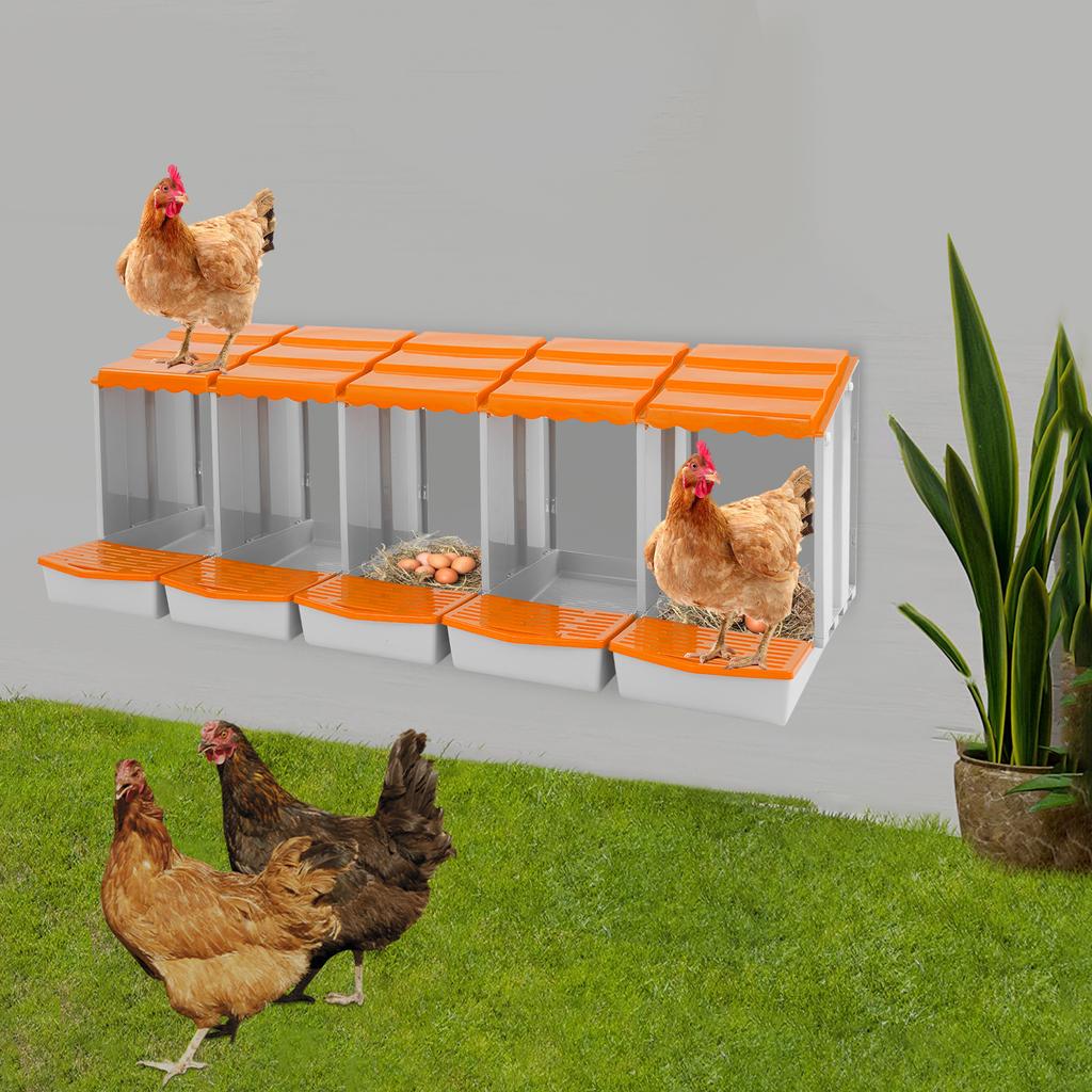 5-Compartment Chicken Nesting Box, Laying Hen Nest for Egg Collection, Durable PP Material,Farm & Coop Use, Poultry Supplies