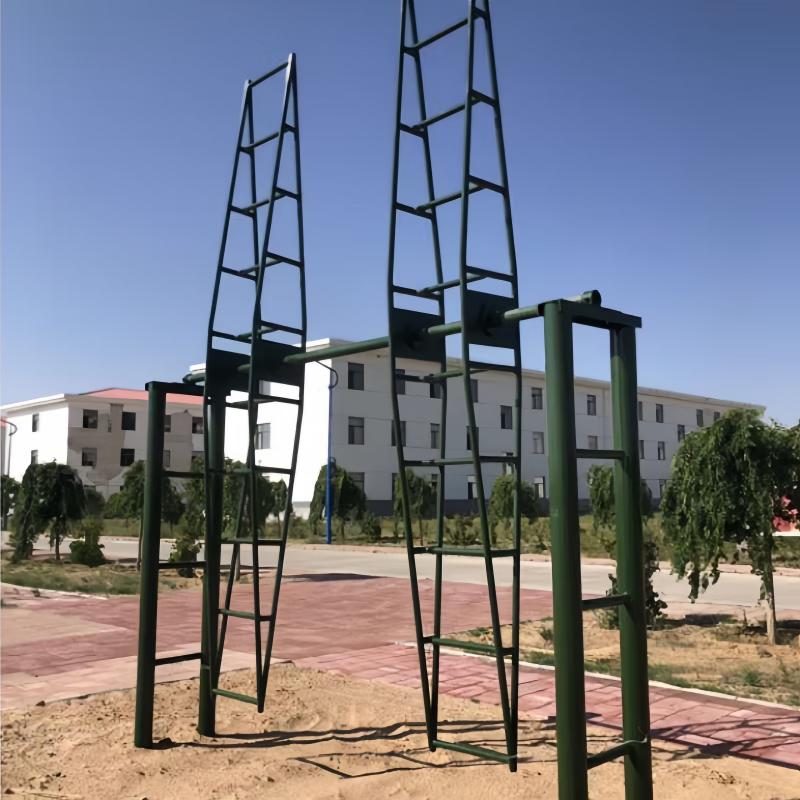 Time Bird Anti-Dizziness Dual Rotating Ladder Trainer