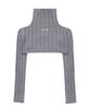 Teulimingbeodeu High-Neck Bolero Knit Zip-Up [ Gray ]