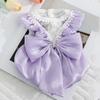 Puppy Dog Shirt Strap Skirt Set Teddy Pomeranian Small and Medium Dogs Universal Princess Style Dress Pet Clothes