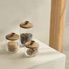 ChaBatree HIS Sprout Jar, Small, 0.35L, Glass Storage Container with Acacia Wood Lid and Gasket