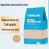 Pești și animale marine – Decorul acvariului