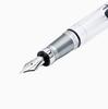 TWSBI Diamond 580ALR Nickel Gray Fountain Pen Nib, F