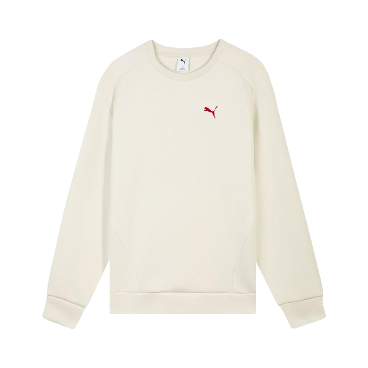 Puma Fw25 Mfo D Свитшот с круглым вырезом, свободный крой, рукав реглан, унисекс 695004-87 M