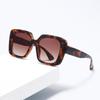 2024 Large Frame Outdoor Sunscreen Sunglasses - European & American Fashion T550