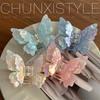 Dazzling Double-Layer Butterfly Claw Clip: High-End 2024 Fairy Hair Accessory