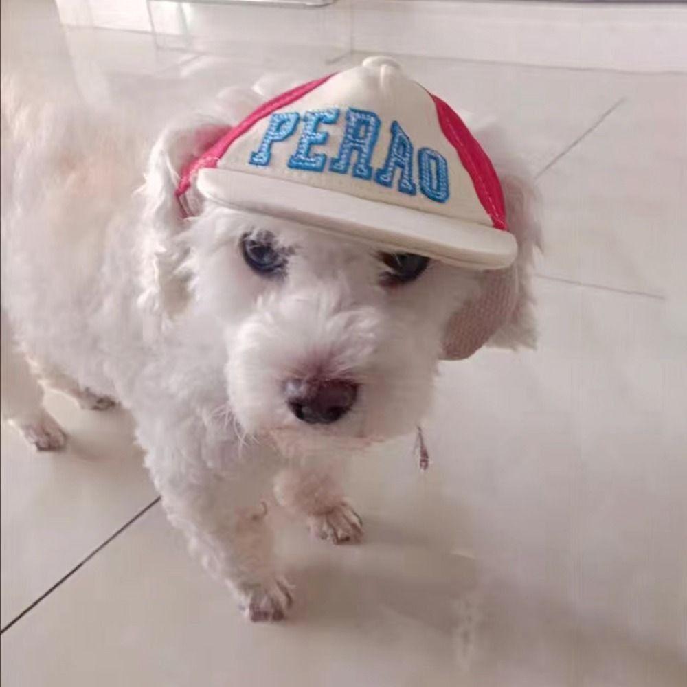 

Износостойкая козырек для собак с отверстиями для ушей, шляпа, аксессуары для собак, спортивная кепка для щенков, бейсбольная кепка для собак