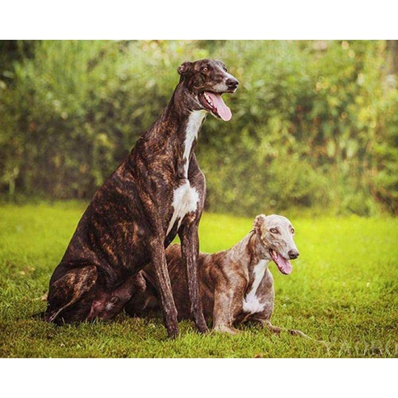 5D DIY Diamond Painting Animal Dog Full Round Diamond Embroidery Rhinestone Picture Mosaic 40x50cm Home Decor Gift